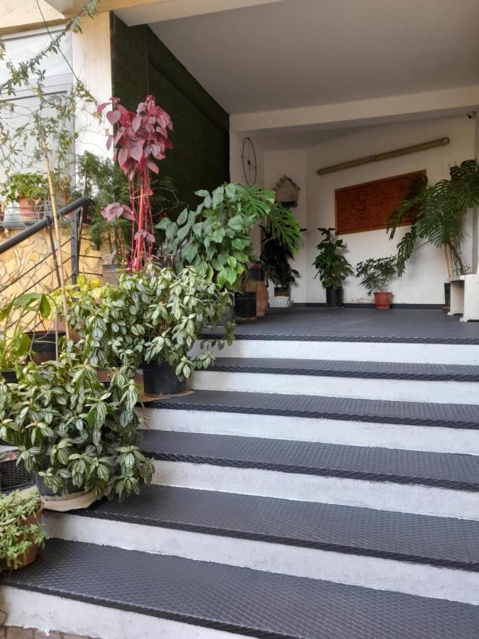 Kristi Apartments 03 Тирана Екстериор снимка